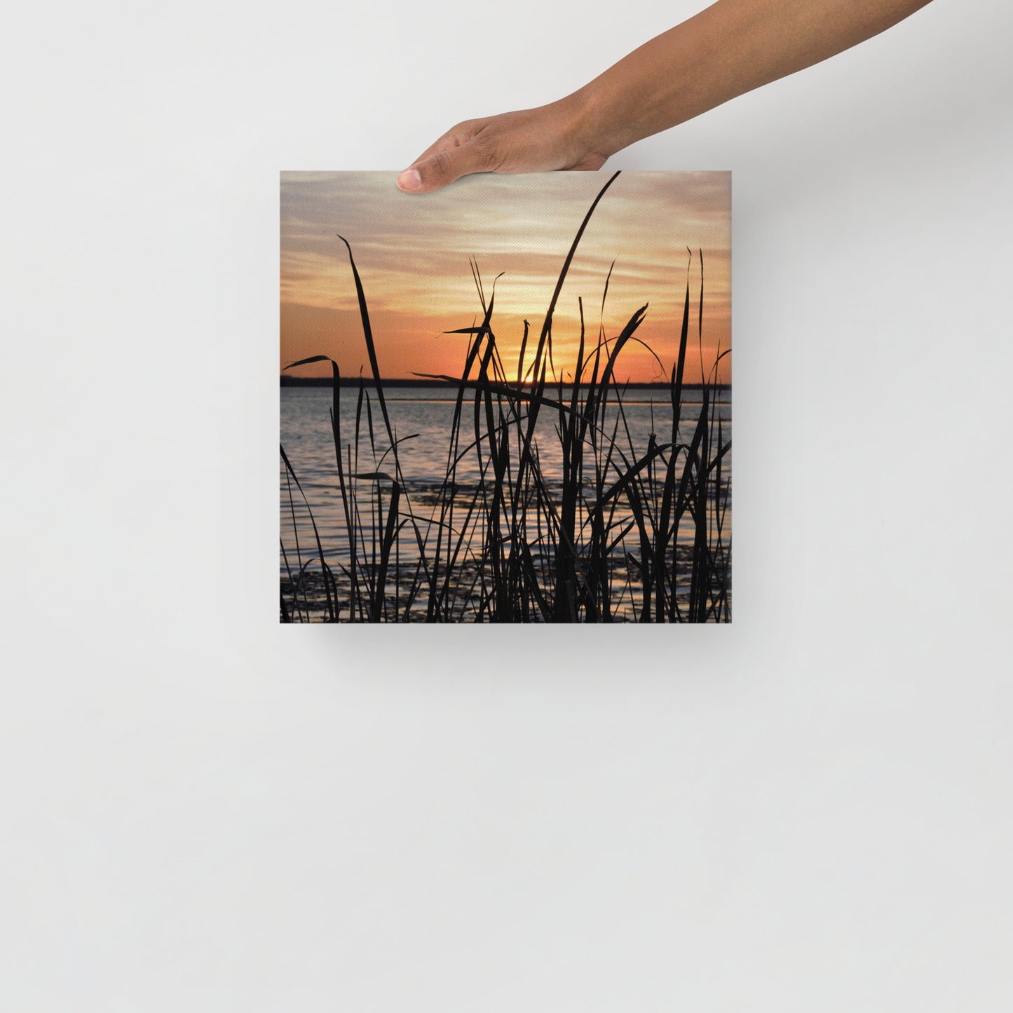 Sunset Grass 522 thin canvas