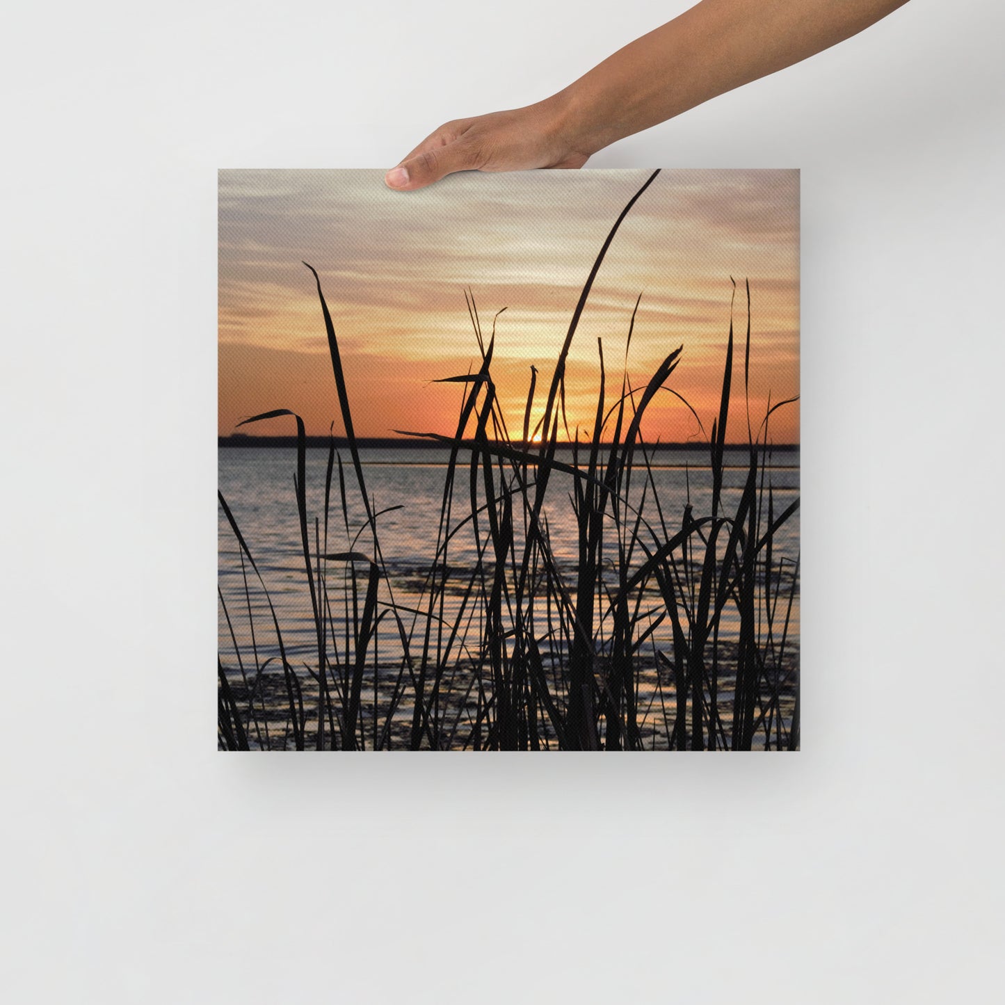 Sunset Grass 522 thin canvas